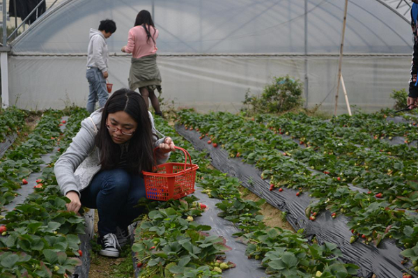 3044永利举办三月员工生日活动