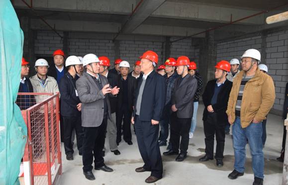 广东省政协领导到3044永利城项目专题调研