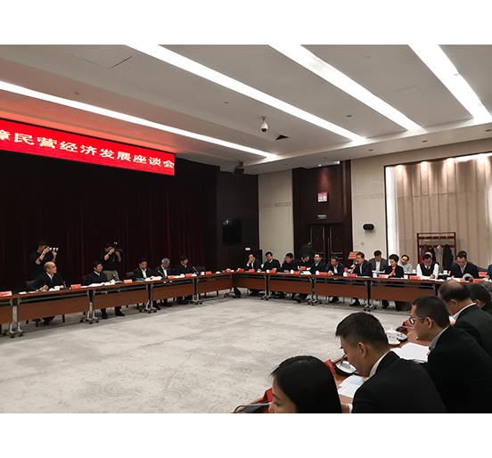 全国人大代表、3044永利董事长熊建明参加检察机关服务保障民营经济发展调研座谈会